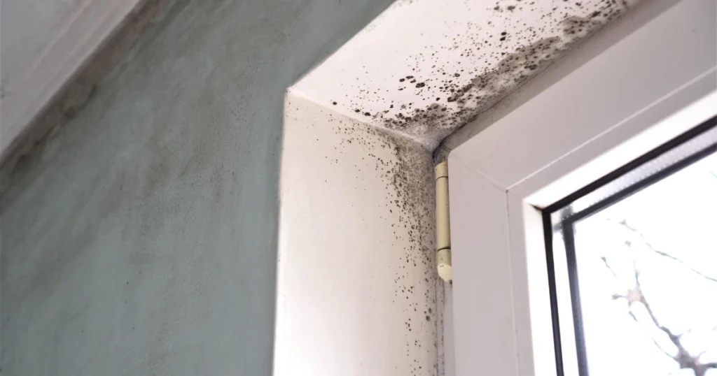 Mold growth on a bathroom wall and window frame, highlighting moisture and ventilation issues that can contribute to bathroom mold.